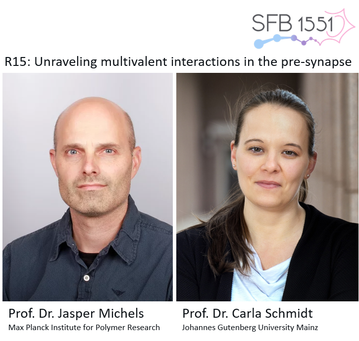 SFB1551 welcomes Carla Schmidt and Jasper Michels as fully funded members!