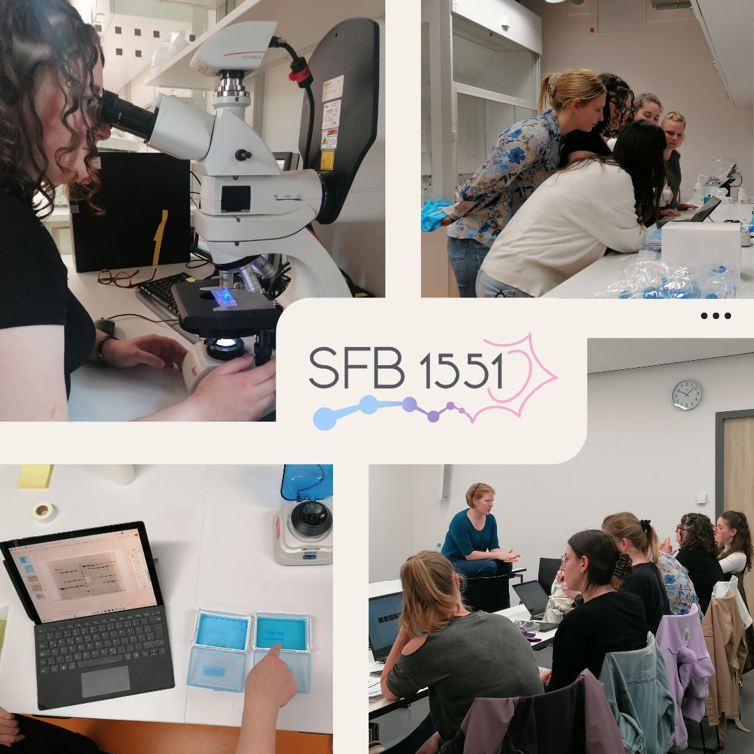 SFB1551 Master Module Practical Sessions: Well-done Team!