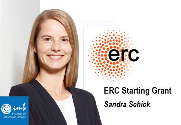 Sandra Schick awarded an ERC Starting Grant