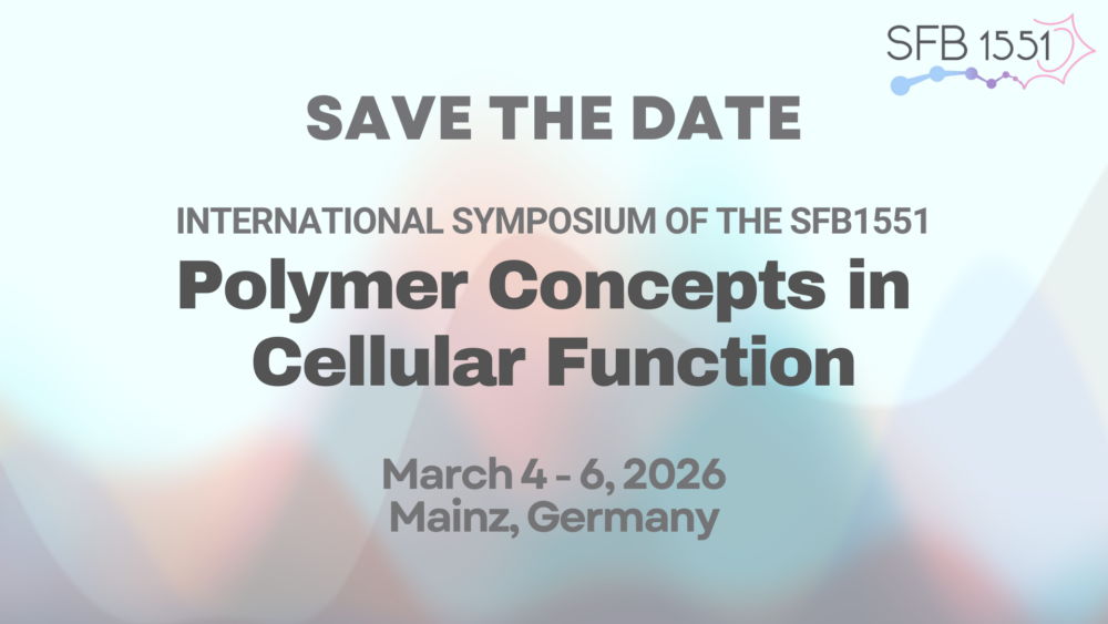 SFB1551 International Symposium 2026 – SAVE THE DATE