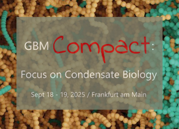 Registrations are open: GBM Compact 2025 & SPP2191 International Symposium